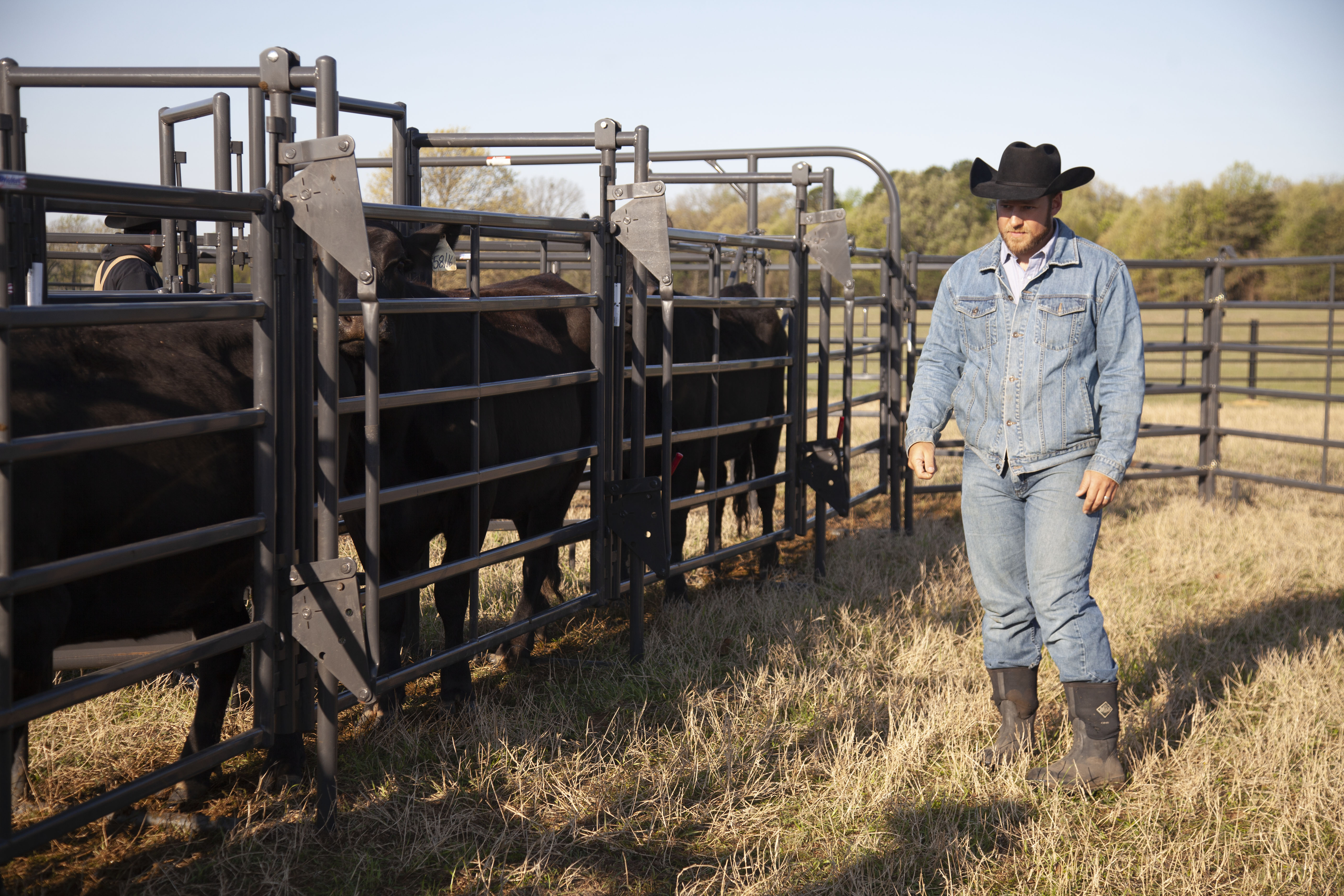 Premier System Adjustable Alley 34.jpg